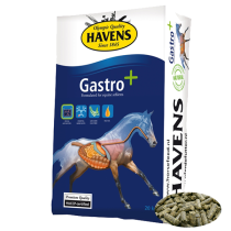 Havens Gastro+ hestefoder 20 KG.